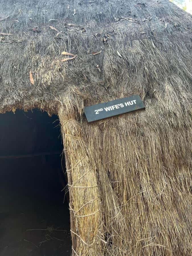 Bomas Of Kenya Cultural Experience - Practical details that affect your afternoon