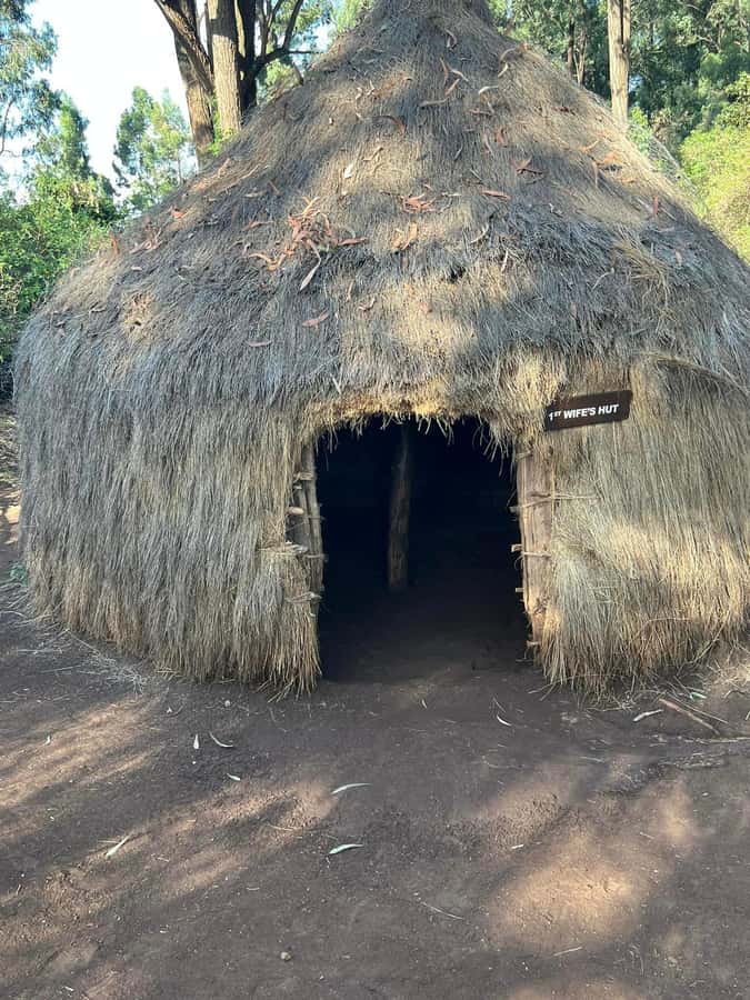 Bomas Of Kenya Cultural Experience - Who will get the most from this afternoon?
