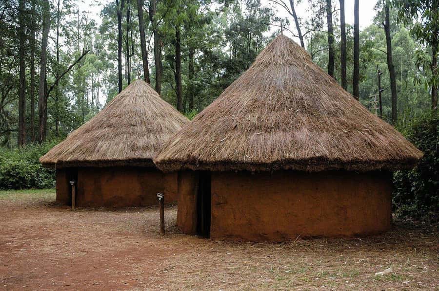 Bomas of Kenya Cultural tour - Who will enjoy this most