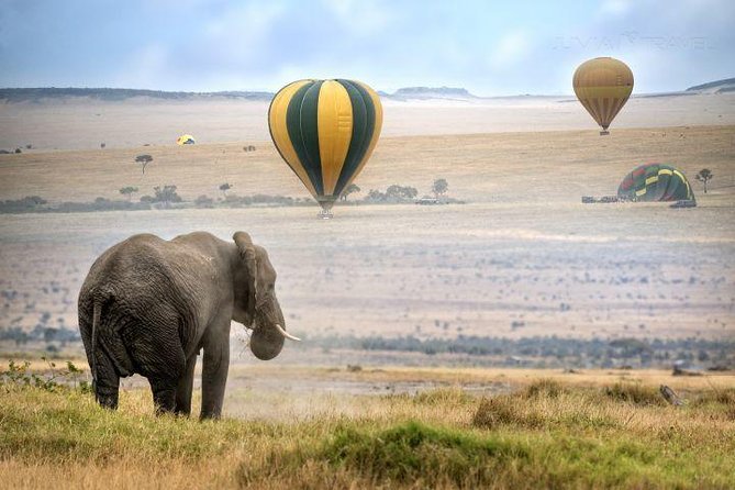 Classic Best Adventure In Kenya And Tanzania 2025 - Olduvai Gorge and the open Serengeti