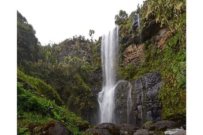 Climbing Mount Kenya 5 Days Via Chogoria Route - Guides, porters, and altitude support