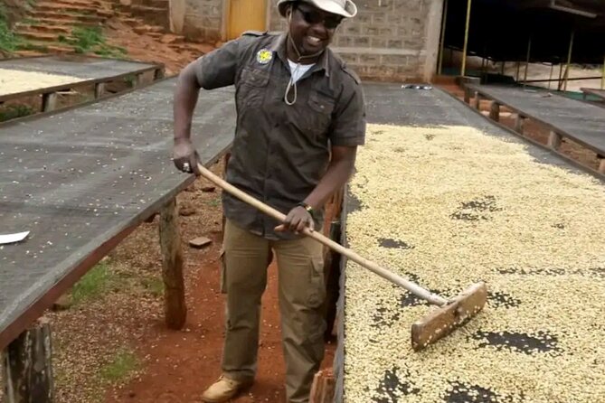 Coffee farm tour, coffee roasting and tasting experience - Roasting beans you can take home