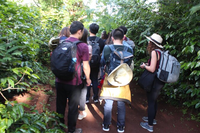 Coffee farm tour, coffee roasting and tasting experience - Who will enjoy this Nairobi experience?