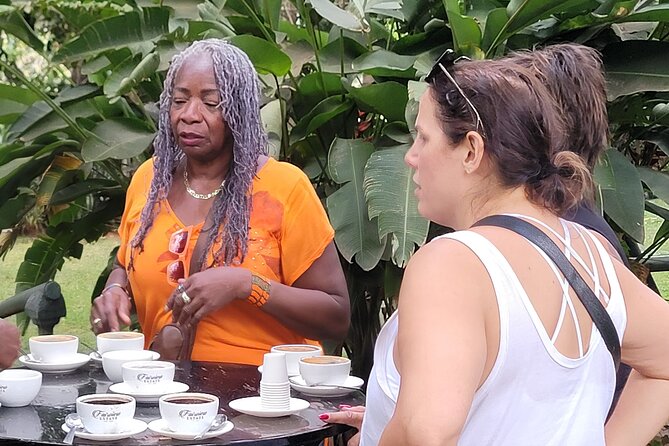 Coffee Farm Tour (Fairview) - From Nairobi to the coffee country around Kiambu