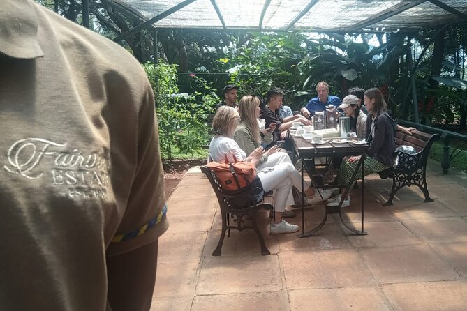 Coffee Farm Tour (Fairview) - The four-cup tasting and blind-test surprise