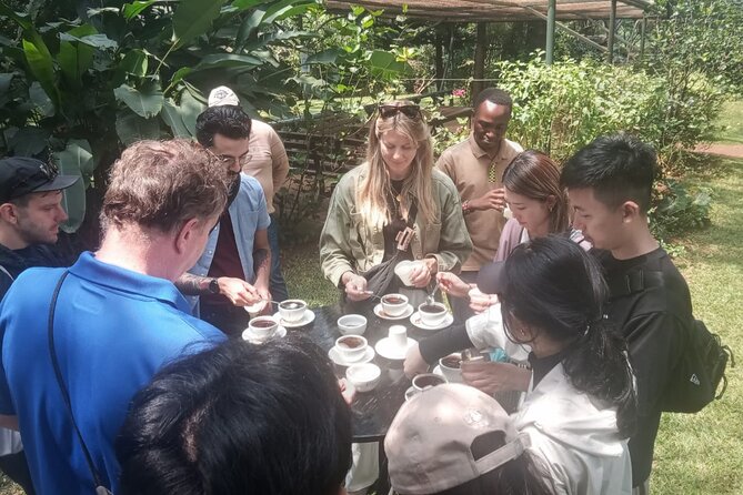 Coffee Farm Tour (Fairview) - What the $39 price really covers