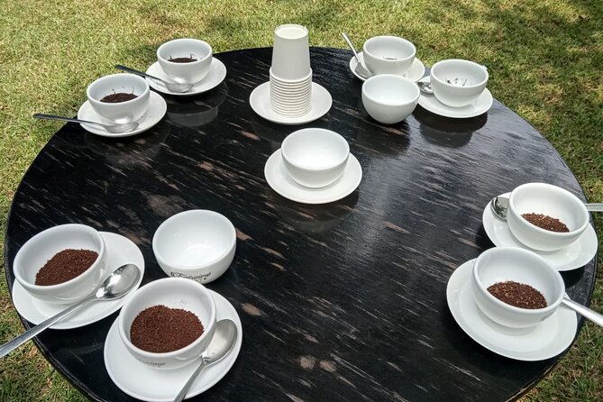 Coffee Farm Tour (Fairview) - Timing, group size, and comfort