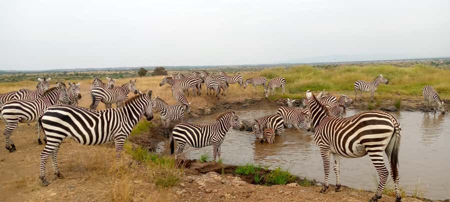 Crescent Island And Boat Ride Day Trip - Crossing Lake Naivasha by boat
