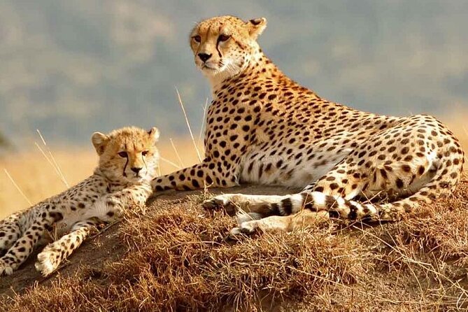 Daily departures 3 days masai mara by landcruiser - The Great Rift Valley stop and the road to Narok