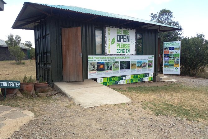 Day safari to Olpejeta Rhino conservancy - The chimpanzee sanctuary and its close human connection