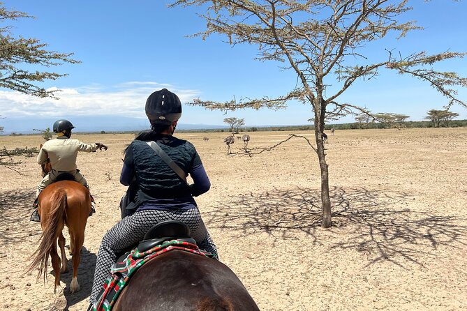 Day safari to Olpejeta Rhino conservancy - Lunch at Ol Pejeta before the rhino visit