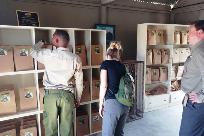 Day safari to Olpejeta Rhino conservancy - Meeting northern and southern white rhinos