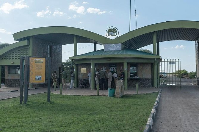 Day Tour - Amboseli National Park From Nairobi - Afternoon wildlife time and the optional village visit
