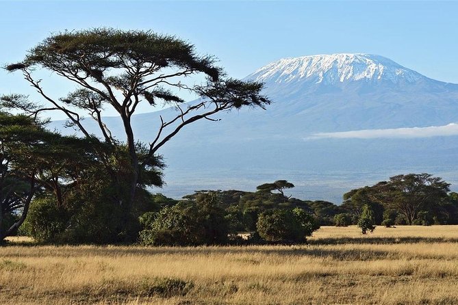 Day Tour - Amboseli National Park From Nairobi - Who will get the most from this safari
