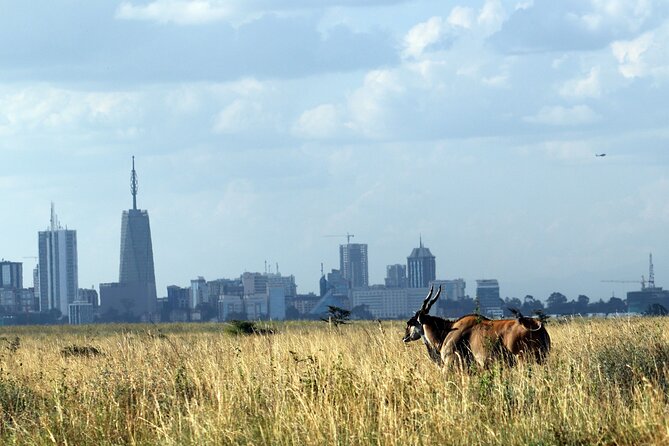 Day Tour at Nairobi National Park and Giraffe Centre - Key points to know before booking