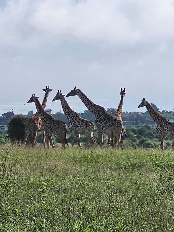 Day tour Hells gate and lake Naivasha from Nairobi - Cancellation and practical flexibility
