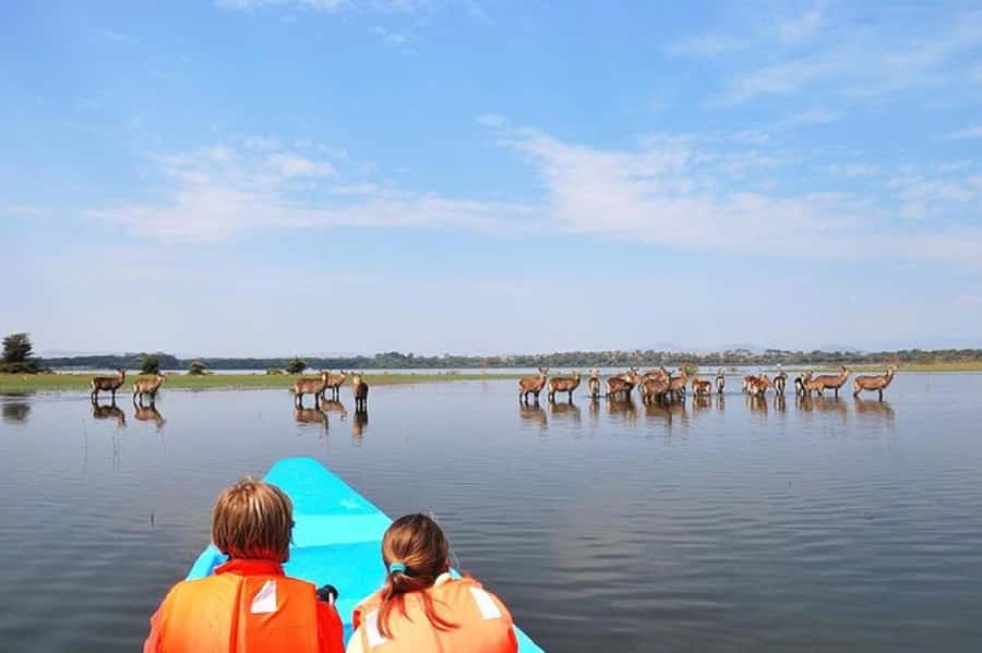 Day tour Hells gate and lake Naivasha from Nairobi - My booking verdict