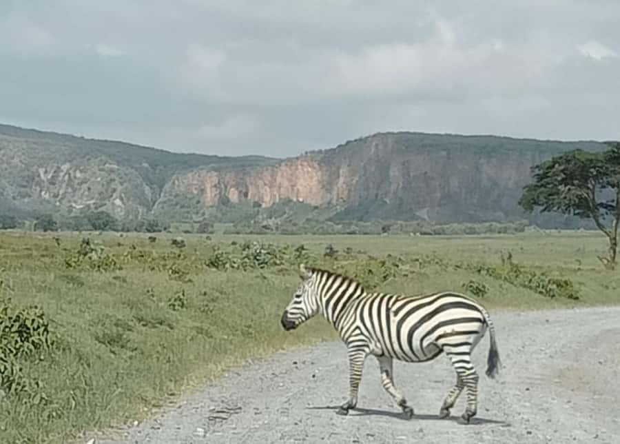 DAY TOUR- LAKE NAIVASHA AND HELL'S GATE PARK-WITH PARK FEES - Cycling Through Hells Gate National Park