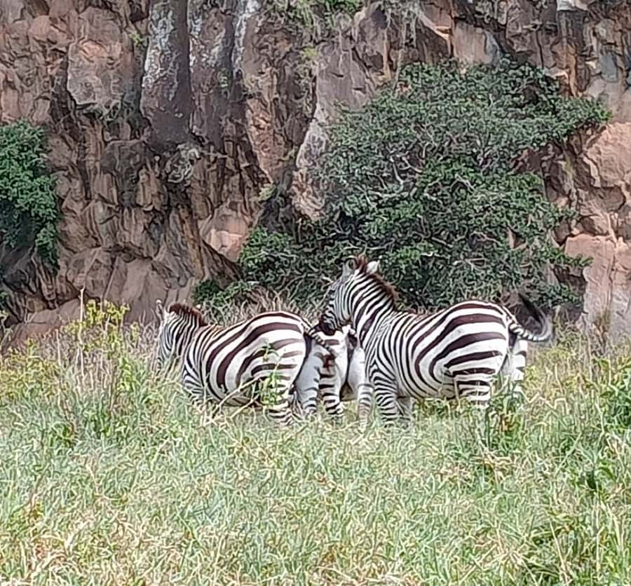 DAY TOUR- LAKE NAIVASHA AND HELL'S GATE PARK-WITH PARK FEES - The 7am Drive From Nairobi