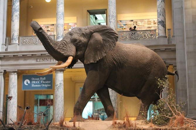 Day Tour Nairobi Museum, Giraffe Centre & Nairobi National Park - Lunch Before the Afternoon Game Drive