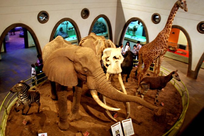 Day Tour Nairobi Museum, Giraffe Centre & Nairobi National Park - Is $301.30 Per Person Good Value?