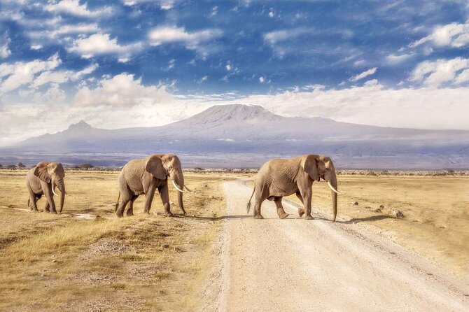 Day Tour to Amboseli National Park - Why Amboseli is worth the long ride from Nairobi