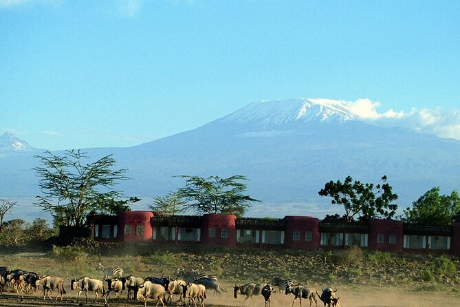 Day Tour to Amboseli National Park - Lunch at OLTUKAI Lodge