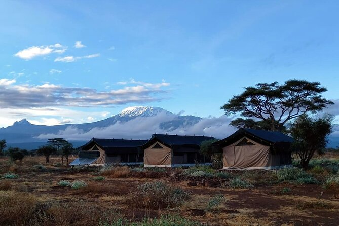 Day Tour To Amboseli National Park From Nairobi - What the $160 Price Really Covers