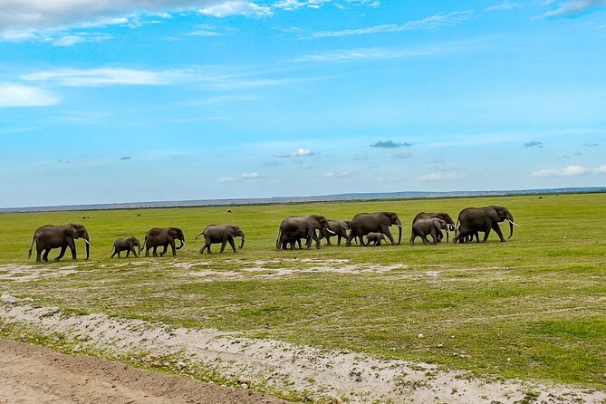 Day Tour To Amboseli National Park From Nairobi - Game Drive Among Amboseli’s Elephants