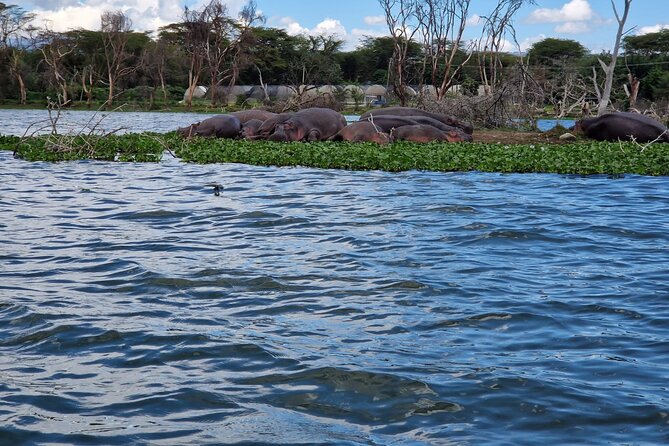 Day Tour To Hell's Gate National Park and Optional Boat Ride on Lake Naivasha. - Who will enjoy this tour most