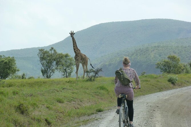 Day tour to Hells Gate, Lake Naivasha and Crescent Island Walk - Lunch at Naivasha Marina Camp