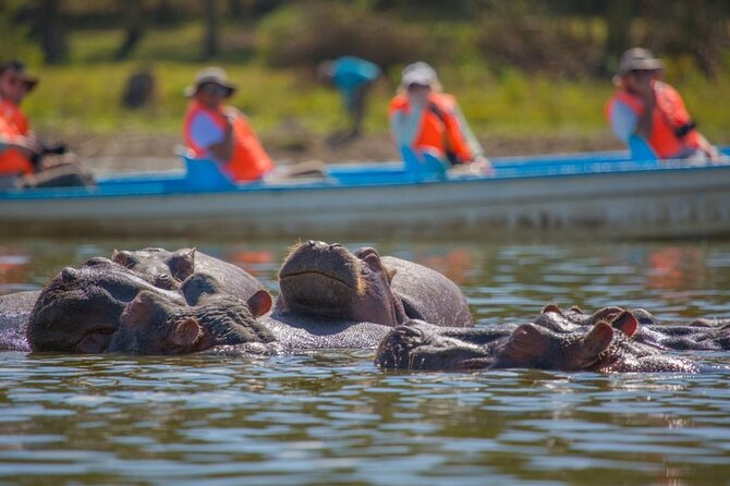 Day tour to Hells Gate, Lake Naivasha and Crescent Island Walk - Walking with wildlife on Crescent Island