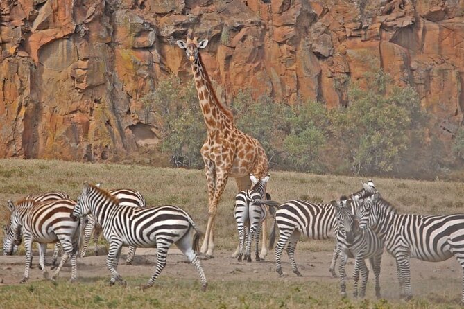 Day tour to Hells Gate, Lake Naivasha and Crescent Island Walk - Guides and the private-tour advantage