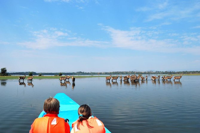 Day Tour To Lake Nakuru Park With Optional Boat Ride on Lake Naivasha - Lake Nakuru and the famous flamingo sightings