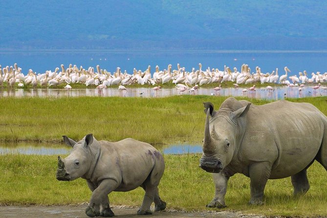 Day Tour To Lake Nakuru Park With Optional Boat Ride on Lake Naivasha - The extra charges you need to plan for