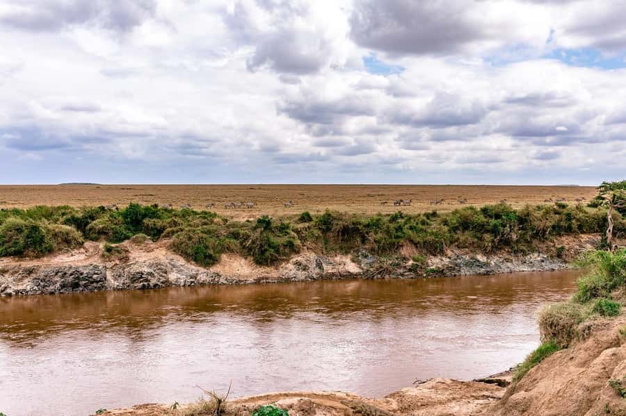 Day Tour to Maasai Mara & optional Maasai village visit - Entering Maasai Mara at Sekenani Gate