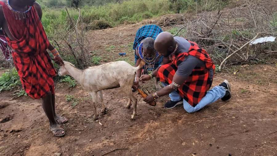 Day Tour to Masai Village From Nairobi - Dance, ceremony, and the line between culture and performance