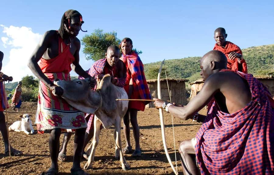 Day Tour to Masai Village From Nairobi - Crafts and agricultural knowledge