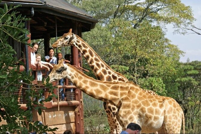 Day Tour to Nairobi National Park and Giraffe Center - Five hours under the pop-up roof