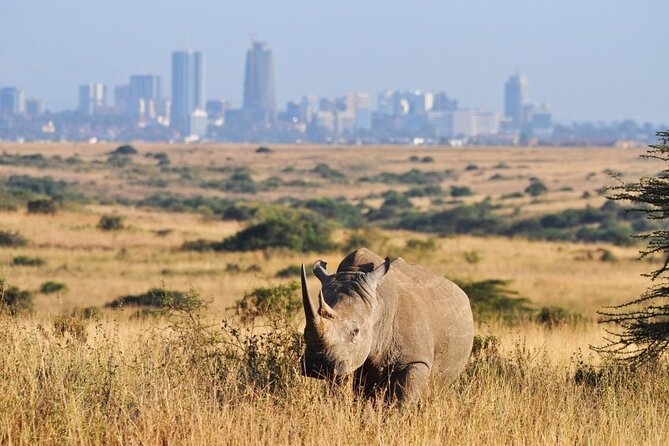 Day Tour to Nairobi National Park and Giraffe Center - What you might see in Nairobi National Park