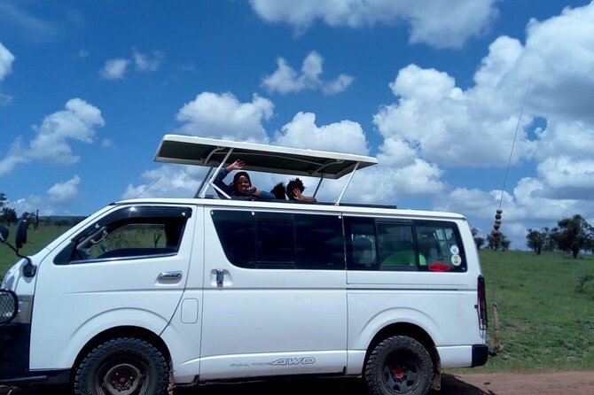 Day Tour to Nairobi National Park and Giraffe Center - Two hours at the Giraffe Centre