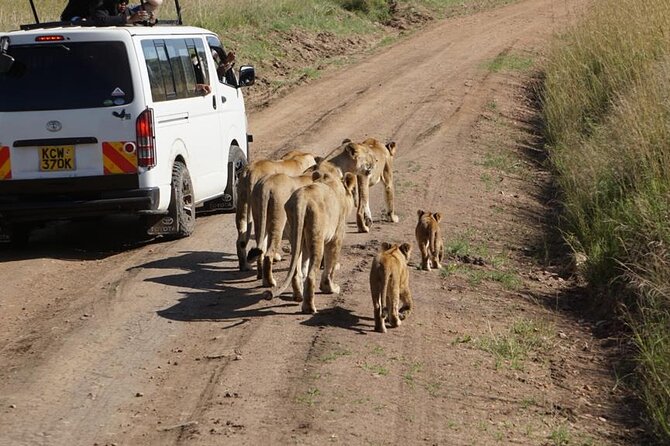 Day Tour to Nairobi National Park and Giraffe Center - Who will enjoy this day most?