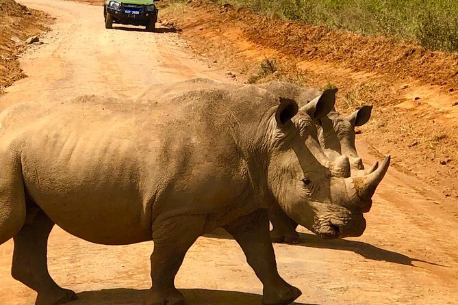 Day Tour to Nairobi National Park and Giraffe Center - Should you book this Nairobi safari?