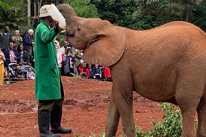 Day Tour to Nairobi national park, Elephants, and Giraffe Center - Why pickup and the shared vehicle matter