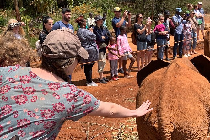 Day Tour to Nairobi national park, Elephants, and Giraffe Center - Lunch is separate and paid by you
