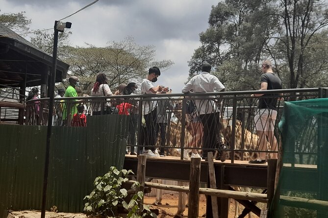 Day Tour to Nairobi national park, Elephants, and Giraffe Center - The guide question: helpful support or simple transportation?