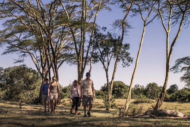 Day Tour to Ol Pejeta Conservancy - The two-hour morning game drive