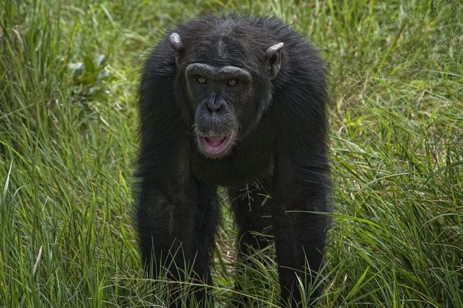 Day Tour to Ol Pejeta Conservancy - The real value of $383.12 per person