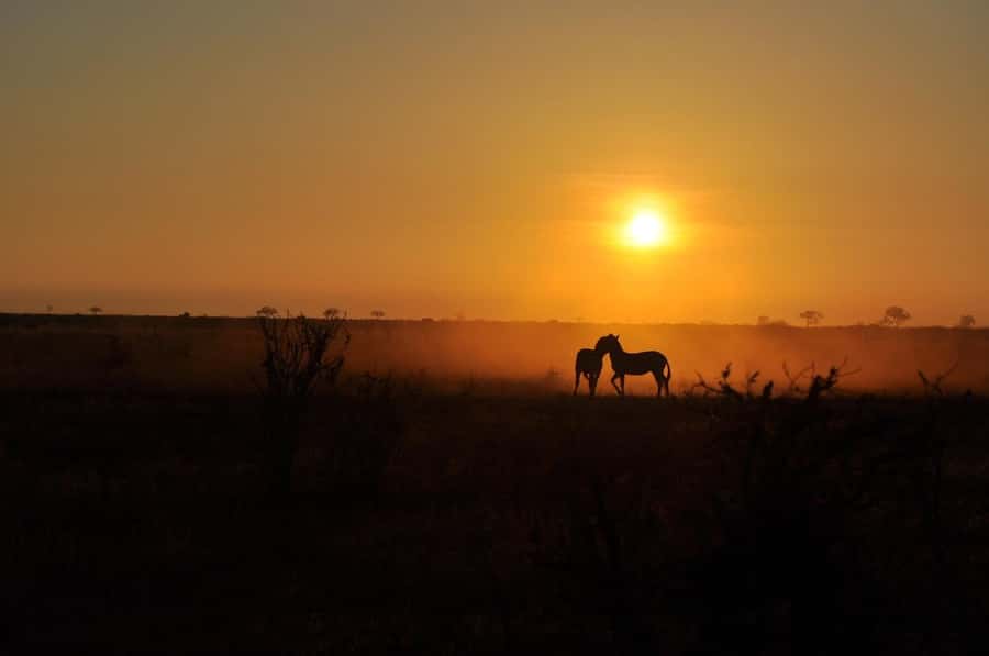 DAY TOUR TO TSAVO EAST NATIONAL PARK FROM MOMBASA/DIANI - The afternoon game drive and exit
