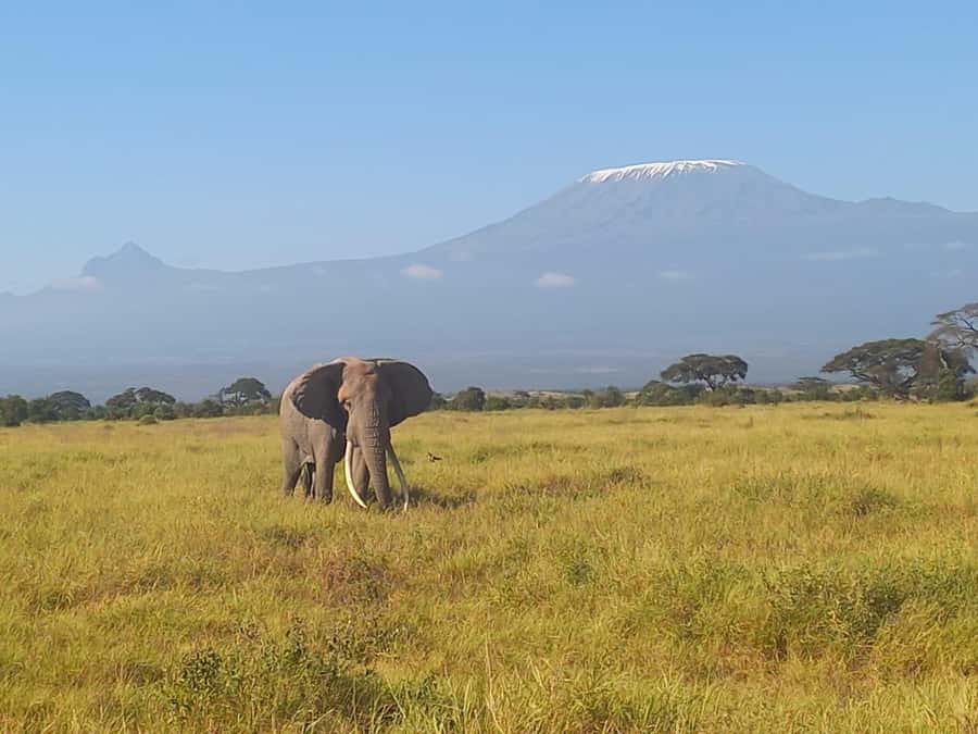 DAY TRIP AMBOSELI NATIONAL PARK FROM NAIROBI BUDGET SAFARI. - The Four-Hour Ride South from Nairobi